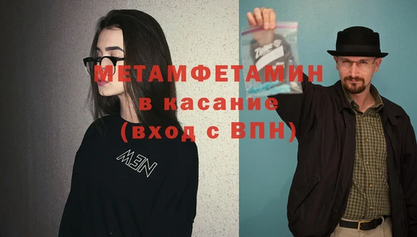 прущие грибы Волоколамск