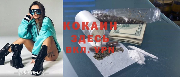 прущие грибы Волоколамск