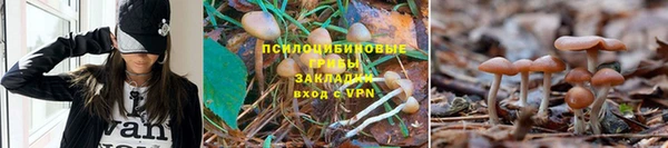 эйфоретик Володарск