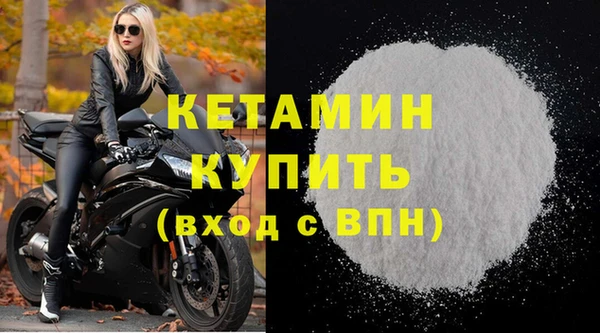 прущие грибы Волоколамск