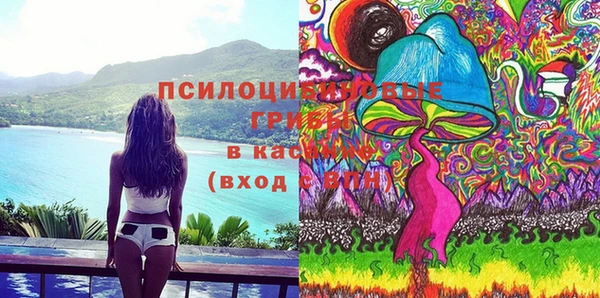 прущие грибы Волоколамск