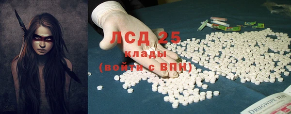 прущие грибы Волоколамск