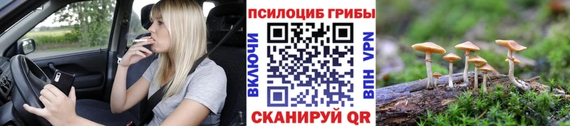Псилоцибиновые грибы Magic Shrooms  Новороссийск 